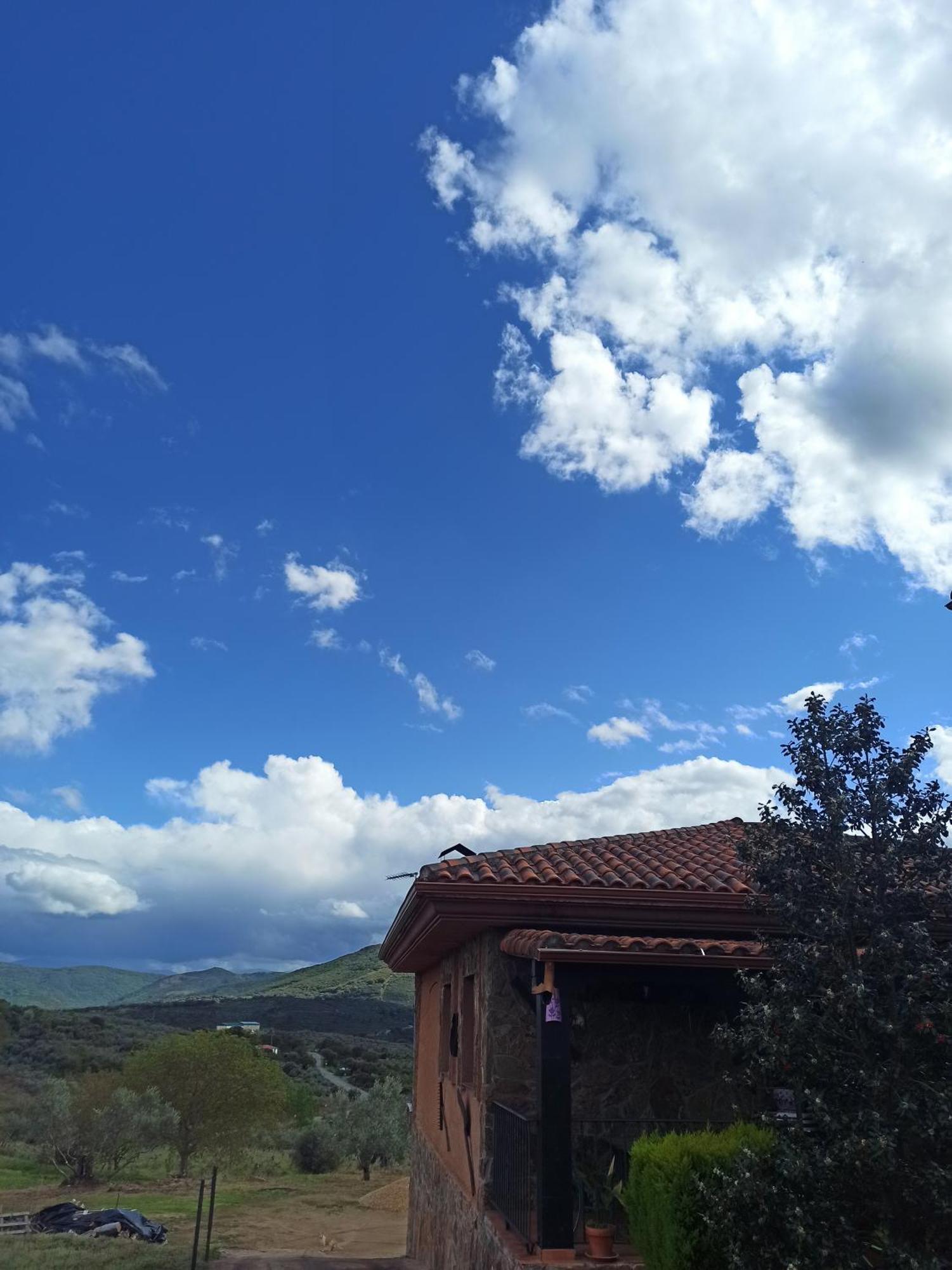 Casa Rural Los Olivos Sotoserrano Exterior photo